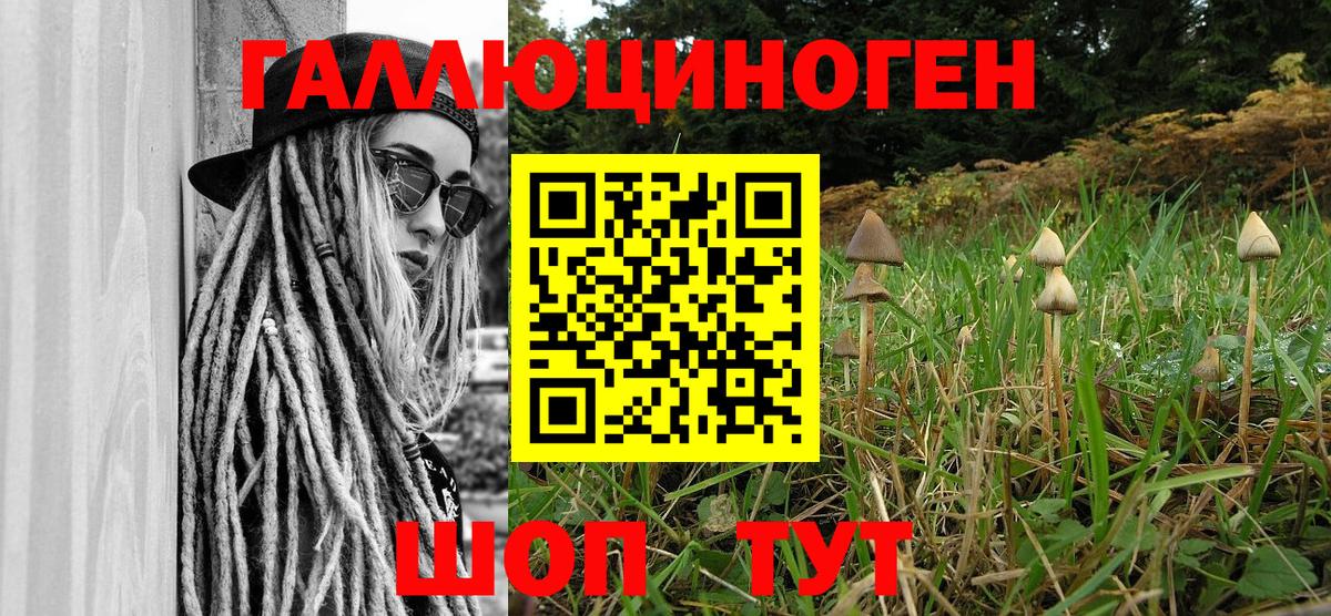 Галлюциногенные грибы Magic Shrooms Городец